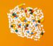 white and orange medication pill